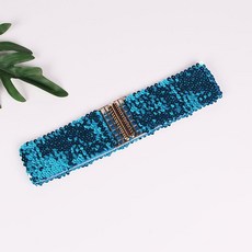 와이드스팽글벨트 차밍댄스복 라틴댄스복(1) (1), 하늘색