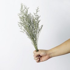 風幹幹花花束情人草ins擺設客廳輕奢家居插花花材裝飾擺件diy, 小小束45CM高, 1個