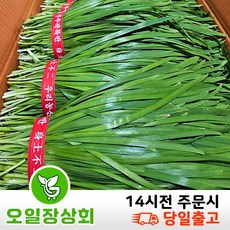(오일장 상회) 국내산 부추 정구지 1단(500g) 2단(1kg) 3단(1.5kg) 내외, 1.5kg, 1개