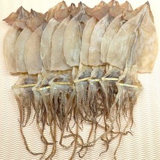 동해안 건조 오징어 400그램 10마리 원양산, 400g  10미, 1개