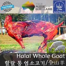 통염소/염소/염소고기/산양/Whole Goat (12Kg~16Kg Halal 할랄), 12Kg~16Kg, 1개