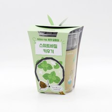 저면관수화분 관리가 쉬운 식물키우기 스위트바질 어린이재배체험 베란다텃밭 원예체험