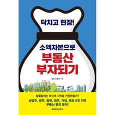닥치고 현장! 소액자본으로 부동산 부자되기, 매일경제신문사, 남호 이성주 저