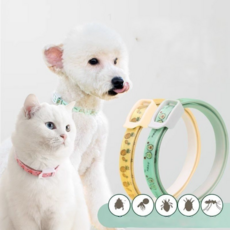 르와핏 강아지 진드기 퇴치제 고양이 모기 벌레 해충방지목걸이 기피제 1+1, 그린, 2개, 70ml