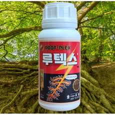 자재스토어 루텍스 발근제 고추 토마토 뿌리발근제 발육향상 영양제 비료, 1세트, 500ml