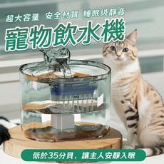 【台灣熱銷Top1】自動飲水機 貓咪飲水機 寵物飲水器 循環流水 靜音活水 感應飲水機 過濾水碗 濾芯片有單片賣, 1個, 濾芯*1,美規