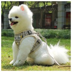 러브잇 강아지 하네스+리드줄 세트(XL) (옐로우)