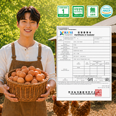 난각번호1번 계란 자연방사 무항생제 HACCP 유정란 국내산, 3개, 20구