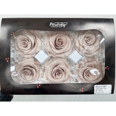 “Be a florist 花藝夢”日本大地農園不凋永生玫瑰05213(單朵販售) 六輪單色 永生花 乾燥花, 081