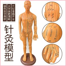 人體穴位模型 針灸小人全身穴位模型 刻字穴位圖, 50cm銅色男模  硬模