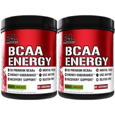 EVL BCAAs 분말 파우더 헬스 운동 611g 2개 체리라임에이드