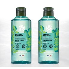 [정수리냄새탈출템] 이브로쉐 리프레시 헤어식초 모링가, 2개