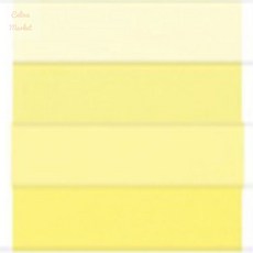 앤젤라마켓 80g 혼합4색 전산용지