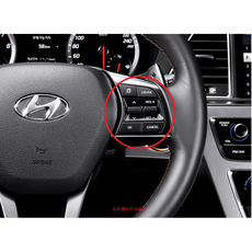 LF쏘나타 크루즈 컨트롤 / 96700C1550 // 뉴라이즈 크루즈 컨트롤 / 96700C1710 / 순정부품 / 순정개조, 뉴라이즈 96700C1710