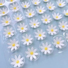데이지 꽃 초콜릿 화이트 플라워 디저트 케이크 데코 장식 108개입, 옵션 17