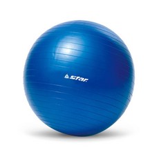 짐볼 45cm 미니 블루 EB210-07re_91KaP, 선택옵션:단일품목
