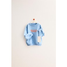국내배송 자라 ZARA TIMELESS - 텍스트 스웨트셔츠 라이트 블루 970955