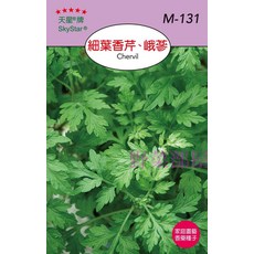 天星牌 細葉香芹 Chervil 峨蔘 種子 M-131 家庭園藝香菜種子, 1包