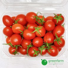 빨강 대추토마토1팩(750g), 1개, 750g x 1팩