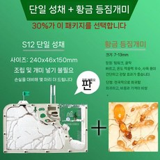 개미 키우기 개미집 관찰 세트 키트, S12+1후30(황금보우백개미)+곡+무료설치