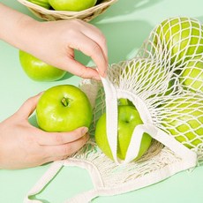 [더조은푸드] 경북 햇 아오리 사과 (가정용), 경북 아오리 사과 가정용 3kg (19~21과), 1박스