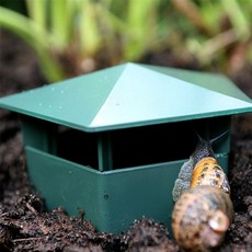 윤스프렌드 달팽이집 달팽이집세트