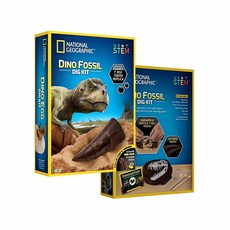 과학 교구 공룡 이빨 발굴 키트 교육 화석 탐험 모형 유물 장난감 실험 장비 도구, 본상품