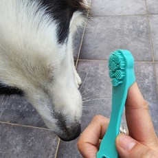 반려묘 치아 청결 애완동물 손가락 반려견 칫솔 위생 구강 관리 실리콘 끼우는, 1개, 민트