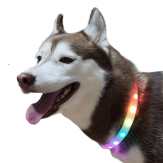 강아지 LED 목걸이 무지개 목줄 야광 팬던트 넥밴드, 1개