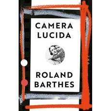 페이퍼백 책 카메라 루시다: 빈티지 디자인 에디션 paperback Book Camera Lucida: Vintage Design Edition