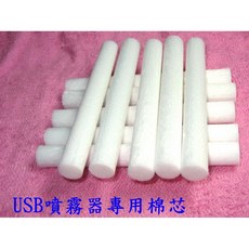 惠柏 USB車用加濕器吸水棉條【附發票】超音波水氧機棉芯 車用香薰加濕器配件, 兩支優惠價