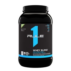 Rule1 룰원 웨이블렌드 민트초콜릿칩 0.89kg, 1개