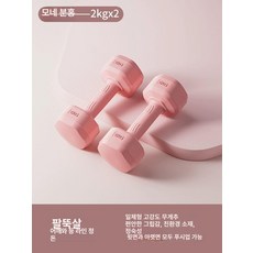 아령 덤벨 덤벨세트 운동 아령덤벨세트 무게조절 홈트 아령1kg, 모네 핑크 2kgx2, 1개