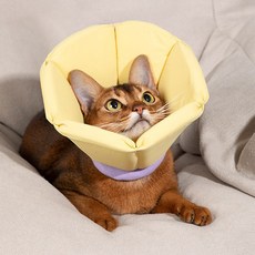 艾爾發寵物 HIDREAM 海綿錐形伊麗莎白圈防護頭套 寵物頭套 多色, 奶酪黃,S, 1個