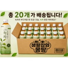 그로아 오늘녹차 실온, 20개, 500ml