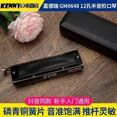 JDR嘉德瑞半音階口琴12孔C調GM0648學入門練習演奏款, 1個, JDR嘉德瑞半音階口琴12孔C調GM06