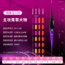 桃園有貨 電子浮標 磯釣浮標 夜光浮標 海釣標 高靈敏浮漂 防逆光醒目漂 野釣漂 釣魚浮標 溪釣浮標 ZQ5N, 1個, QJ-06【主攻青草大物】鉛3.8克,【1支裝不變色】+1電池