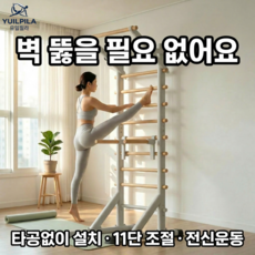 유일필라 슈로스바 무타공 슈로스 운동기구 월바 바풀 철봉 필라테스 스트레칭, 화이트, 1개