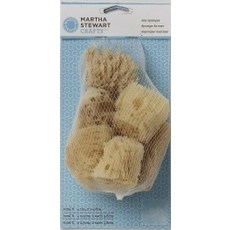 MARTHA STEWART 32228 6조 해면스펀지, 1개