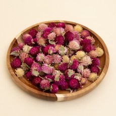천일홍 20g 앵무새 포레깅 DIY 뜯뜯 장난감 천연 재료 용품 환경풍부화