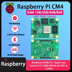 Raspberry Pi CM4 1GB2GB4GB8GB RAM BCM2711 쿼드 코어 CortexA7264 Rpi 컴퓨팅 모듈 EMMC Wifi 옵션, 01 0GB EMMC, 01 NO WIFI 1GB RAM
