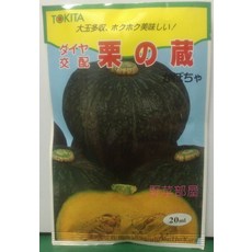 TOKiTA 栗之藏 南瓜種子 早生品種 20ml, 1包