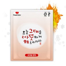 해피데이 따뜻해 포켓 핫팩 100G, 1개