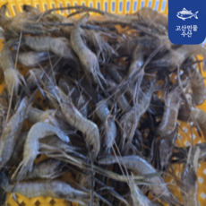 고산민물수산 국내산 자연산 2kg 냉동징거미새우 민물새우 민물새우탕 민물새우튀김 1개