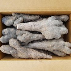 마 참마 못난이 뮤신 함량우수 3kg 5kg 산마 안동마 안동참마, 참마 못난이 8kg, 1개