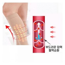 고루 데일리템 압박스타킹 밴드 종아리 수면 종아리압박밴드, 1개, 색상/스킨, 니삭스형