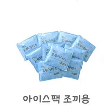 아이스팩10개 조끼용 eun+68655LQ