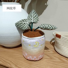 甜蜜cosmetics 多巴胺仿真綠色植物多肉毛絨玩偶桌伴海棠裝飾盆栽公仔 生日禮物, 1個, 網紋草, 綠色