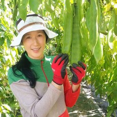 마법의 블랙 작두콩차 80g, 1개, 1개입