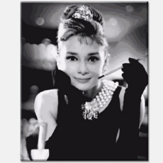 모모픽스페인팅 DIY 일러스트그리기 세트 40 x 50 cm, 티파니에서 아침을, 1개